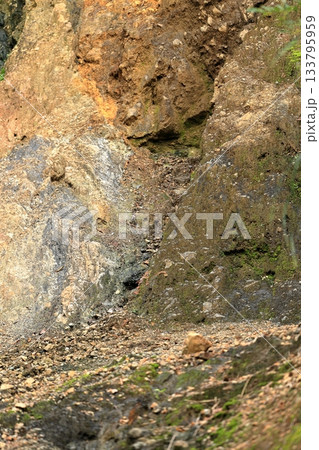 フォッサマグナの東西の地層の違い フォッサマグナの東西の地層の違い 133795959