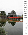 水面に映る国宝松本城 水面に映る国宝松本城 133795965