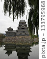 柳と水面に映る松本城 柳と水面に映る松本城 133795968