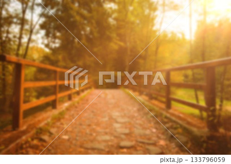 Walkway by trees against sky 133796059