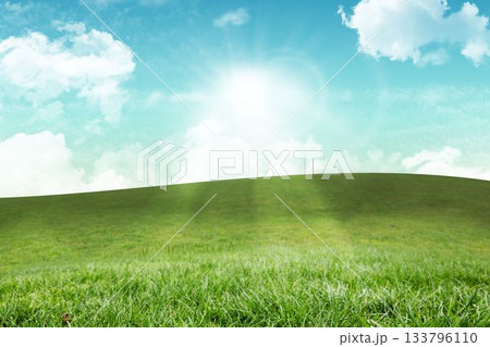 Rolling grassy hill is appearing in flat design meadow, with sun rays and white clouds 133796110
