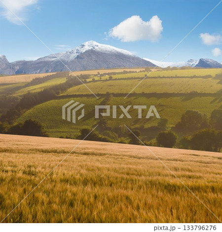 Country scene with mountain Country scene with mountain 133796276