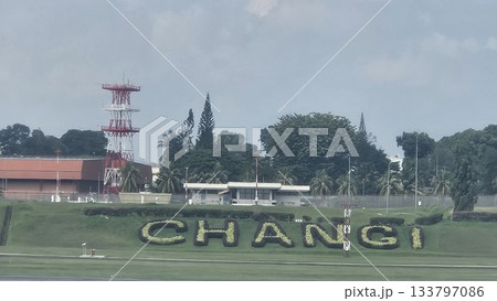 Changi Airport lush greenery spells its name beside a busy runway 133797086