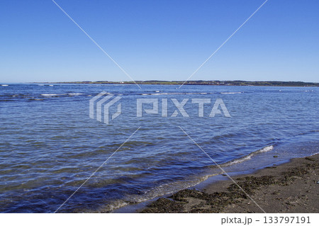 根室湾に浮かぶ春国岱から見る根室の町並み 133797191