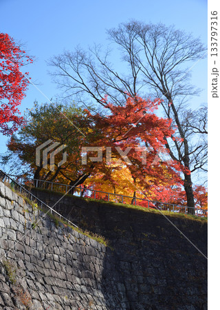 盛岡城跡公園の紅葉 133797316