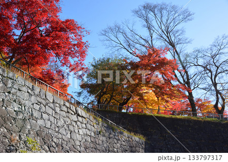 盛岡城跡公園の紅葉 133797317