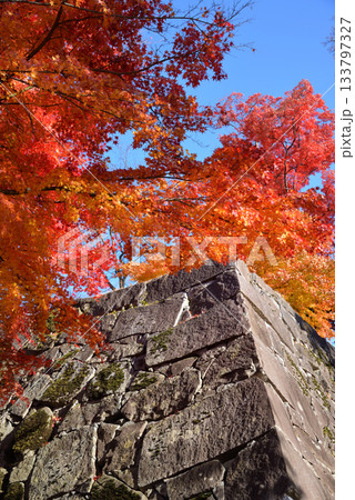 盛岡城跡公園の紅葉 133797327
