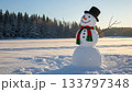 雪だるま 133797348