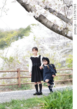 桜と入園式を迎えた3歳の女の子と9歳の姉 133797365