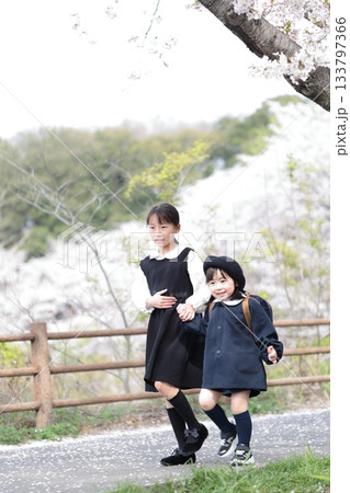 桜と入園式を迎えた3歳の女の子と9歳の姉 133797366