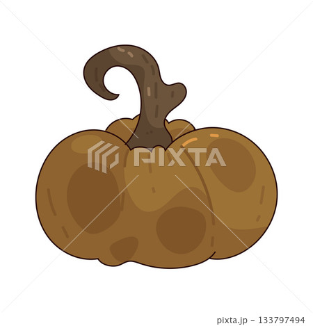 illustration of Pumpkin illustration of Pumpkin 133797494