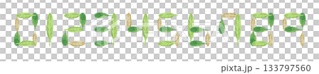 Leaf numbers illustration set 133797560