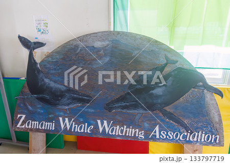 待合室のザトウクジラやイルカのモチーフ達。座間味島座間味港 沖縄県島尻郡慶良間諸島-2025 133797719