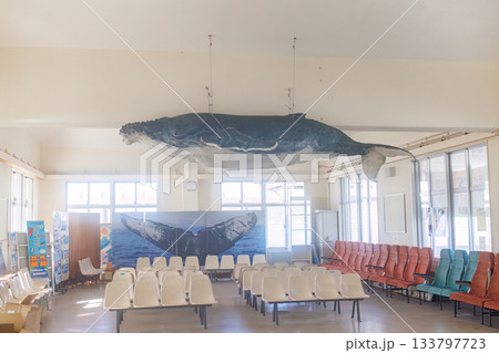 待合室のザトウクジラやイルカのモチーフ達。座間味島座間味港 沖縄県島尻郡慶良間諸島-2025 133797723