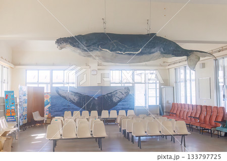 待合室のザトウクジラやイルカのモチーフ達。座間味島座間味港 沖縄県島尻郡慶良間諸島-2025 133797725