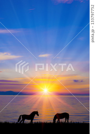 馬のシルエット 133797752