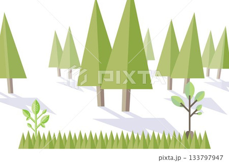 Forest with grass and shrubs 133797947