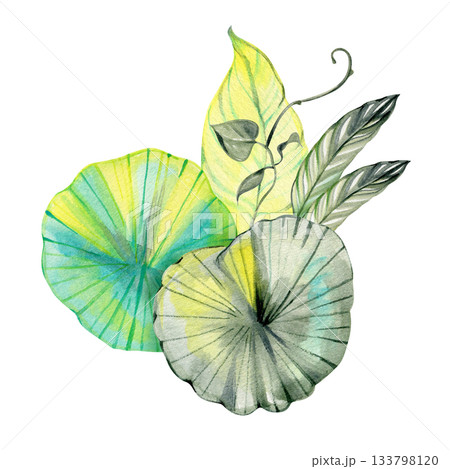 Watercolor tropical leaf composition with bright green and yellow tones. Artistic botanical illustration featuring round foliage and delicate details. Perfect for natural design projects and modern 133798120