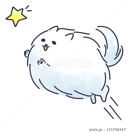 星に向かっていくポメラニアン 133798447