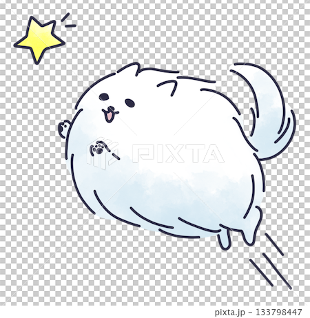 星に向かっていくポメラニアン 133798447