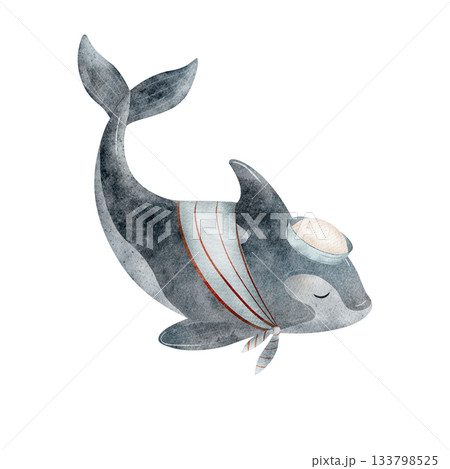 Whale blue, killer sailor in a naval cap shirt. Watercolor illustrations sea fish, animal hand-drawn in children's style. Image is isolated from background for design cards posters clothing stickers Whale blue, killer sailor in a naval cap shirt. Watercolor illustrations sea fish, animal hand-drawn in children's style. Image is isolated from background for design cards posters clothing stickers 133798525
