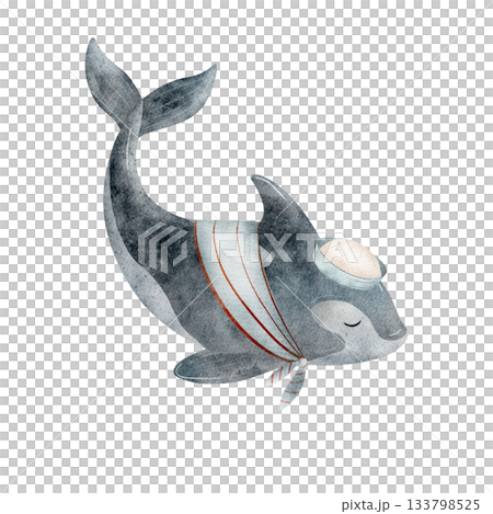 Whale blue, killer sailor in a naval cap shirt. Watercolor illustrations sea fish, animal hand-drawn in children's style. Image is isolated from background for design cards posters clothing stickers Whale blue, killer sailor in a naval cap shirt. Watercolor illustrations sea fish, animal hand-drawn in children's style. Image is isolated from background for design cards posters clothing stickers 133798525