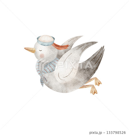 Seagull in flight, wearing sailor's cap. Watercolor illustrations birds, doves, seabirds hand-drawn in nautical children's style. Image isolated from background for designing cards posters stickers 133798526