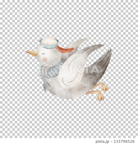 Seagull in flight, wearing sailor's cap. Watercolor illustrations birds, doves, seabirds hand-drawn in nautical children's style. Image isolated from background for designing cards posters stickers 133798526