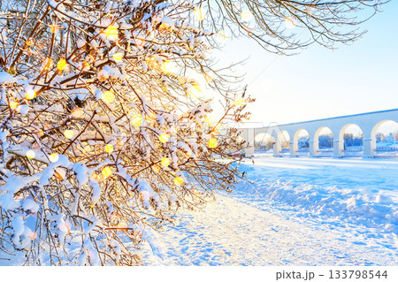 Snow-covered tree branches in a winter forest and holiday glare from garlands. Christmas winter blurred background with garland lights, holiday festive background. 133798544