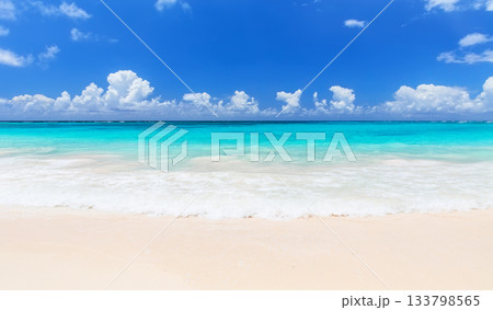 Panorama of  beautiful white sand beach and turquoise sea in Punta Cana Dominican Republic. Summer beach holiday concept. 133798565
