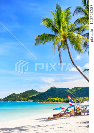 A sunny day on beautiful Chaweng Beach with white sand, coconut palm trees and turquoise water in Koh Samui, Thailand. Summer beach concept. Vertical shot. 133798587