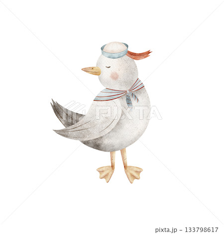 Seagull sailor, seabird in naval cap. Watercolor illustrations dove bird, hand-drawn in children's nautical style. Image is isolated from background suitable for design cards posters clothing stickers Seagull sailor, seabird in naval cap. Watercolor illustrations dove bird, hand-drawn in children's nautical style. Image is isolated from background suitable for design cards posters clothing stickers 133798617
