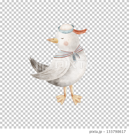 Seagull sailor, seabird in naval cap. Watercolor illustrations dove bird, hand-drawn in children's nautical style. Image is isolated from background suitable for design cards posters clothing stickers Seagull sailor, seabird in naval cap. Watercolor illustrations dove bird, hand-drawn in children's nautical style. Image is isolated from background suitable for design cards posters clothing stickers 133798617
