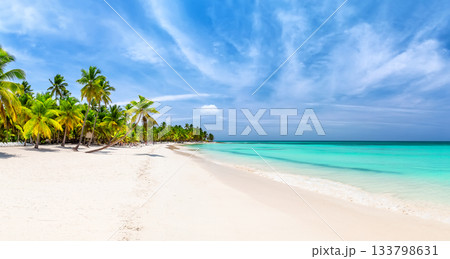Panorama of perfect white sandy beach with coconut palm trees in Caribbean sea, Saona island. Dominican Republic. Summer beach concept. 133798631