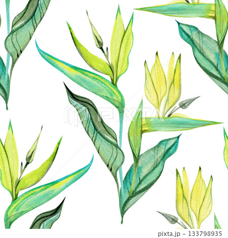 Delicate watercolor pattern featuring tropical strelitzia leaves and buds in fresh green and turquoise tones. Soft botanical elements create a light, elegant seamless design suitable for textiles Delicate watercolor pattern featuring tropical strelitzia leaves and buds in fresh green and turquoise tones. Soft botanical elements create a light, elegant seamless design suitable for textiles 133798935