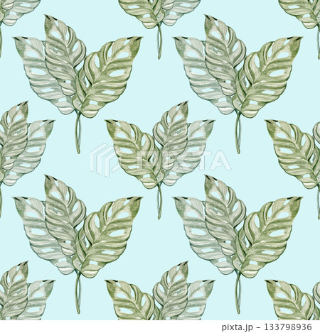 Seamless watercolor pattern featuring delicate green monstera adansonii leaves painted in a soft botanical style. Elegant tropical foliage design perfect for fabric, packaging, stationery, and nature Seamless watercolor pattern featuring delicate green monstera adansonii leaves painted in a soft botanical style. Elegant tropical foliage design perfect for fabric, packaging, stationery, and nature 133798936