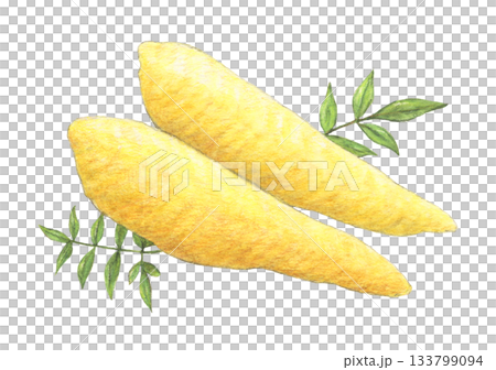 Herring roe watercolor pencil illustration 133799094