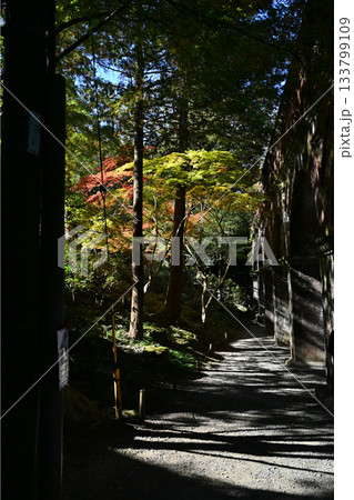 南禅寺 133799109