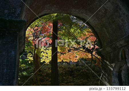 南禅寺 南禅寺 133799112