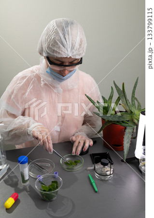Researcher Examines Aloe Plant Leaves for Potential Applications in Scientific Studies 133799115