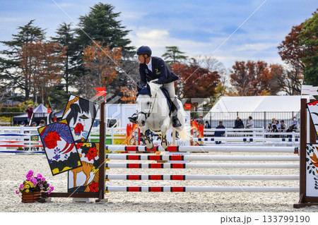 東京都世田谷区 馬事公苑 ジャパン ブリーディング 障害馬術 ホースショー 東京都世田谷区 馬事公苑 ジャパン ブリーディング 障害馬術 ホースショー 133799190