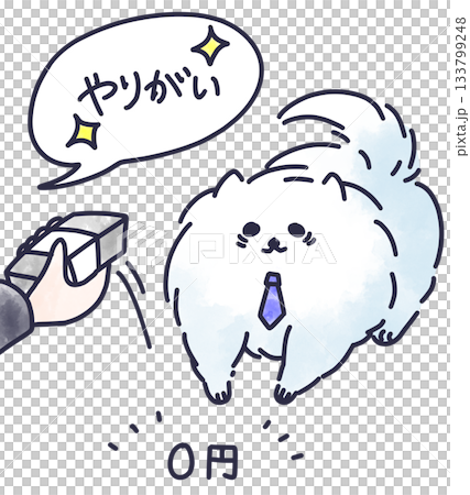 Pomeranians who are exploited by working adults 133799248