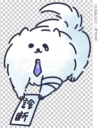 A working Pomeranian submitting a medical certificate 133799251