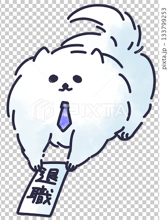 A working Pomeranian submitting his resignation letter 133799253