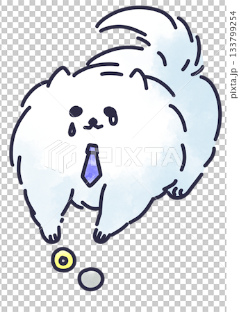 Pomeranian of a working adult who is not paid enough 133799254