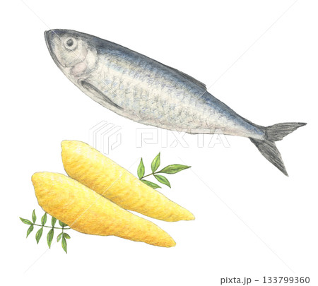 ニシンと数の子 水彩色鉛筆イラスト ニシンと数の子 水彩色鉛筆イラスト 133799360