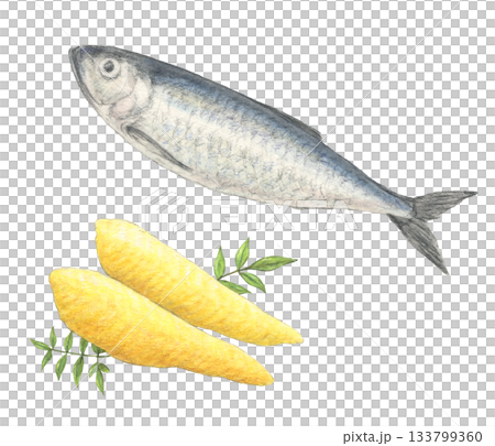 ニシンと数の子 水彩色鉛筆イラスト ニシンと数の子 水彩色鉛筆イラスト 133799360