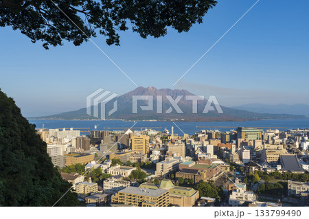 城山公園から見た鹿児島市街地と桜島 133799490