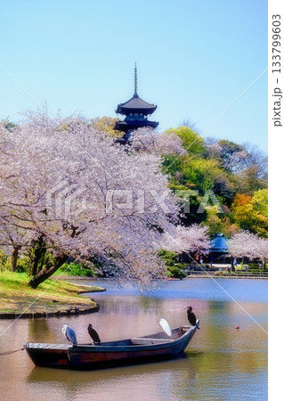 三渓園の紅葉 三渓園の紅葉 133799603