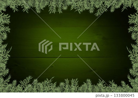 Plants forming frame against wooden wall 133800045